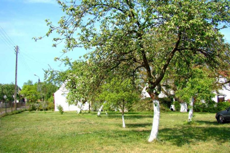 Galeria Dom Na Wyspie Wolin Pokoje Noclegi Agroturystyka